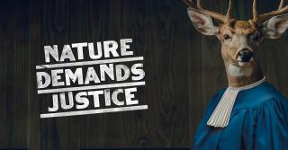Pro Bono for Ecocide Issue: Nature Demands Justice - Deer